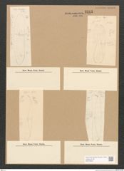 Diatomeae indet. Zeichnungen Sammlung Grunow Nr. 3313 (NHMW-BOT-W0370809)